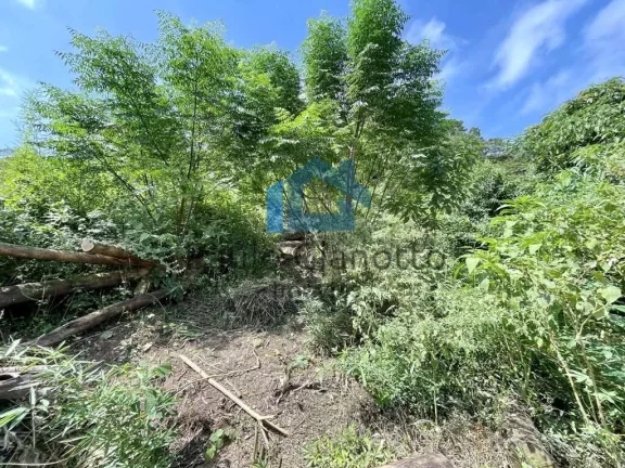 Imagem Lote em Bolsão Fechado no Centro da Granja Viana!