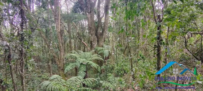 Imagem Oportunidade Única na Serra da Mantiqueira! Pedra do Jair.