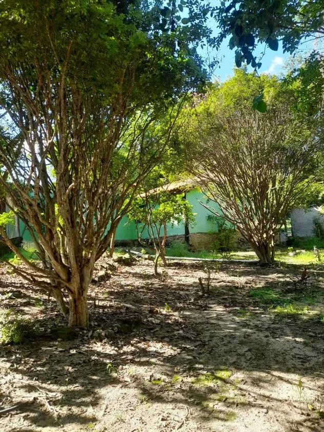 Imagem Vendo excelente sítio em Bonfim/MG ,com 9 hectares de área total (90.000 m²),