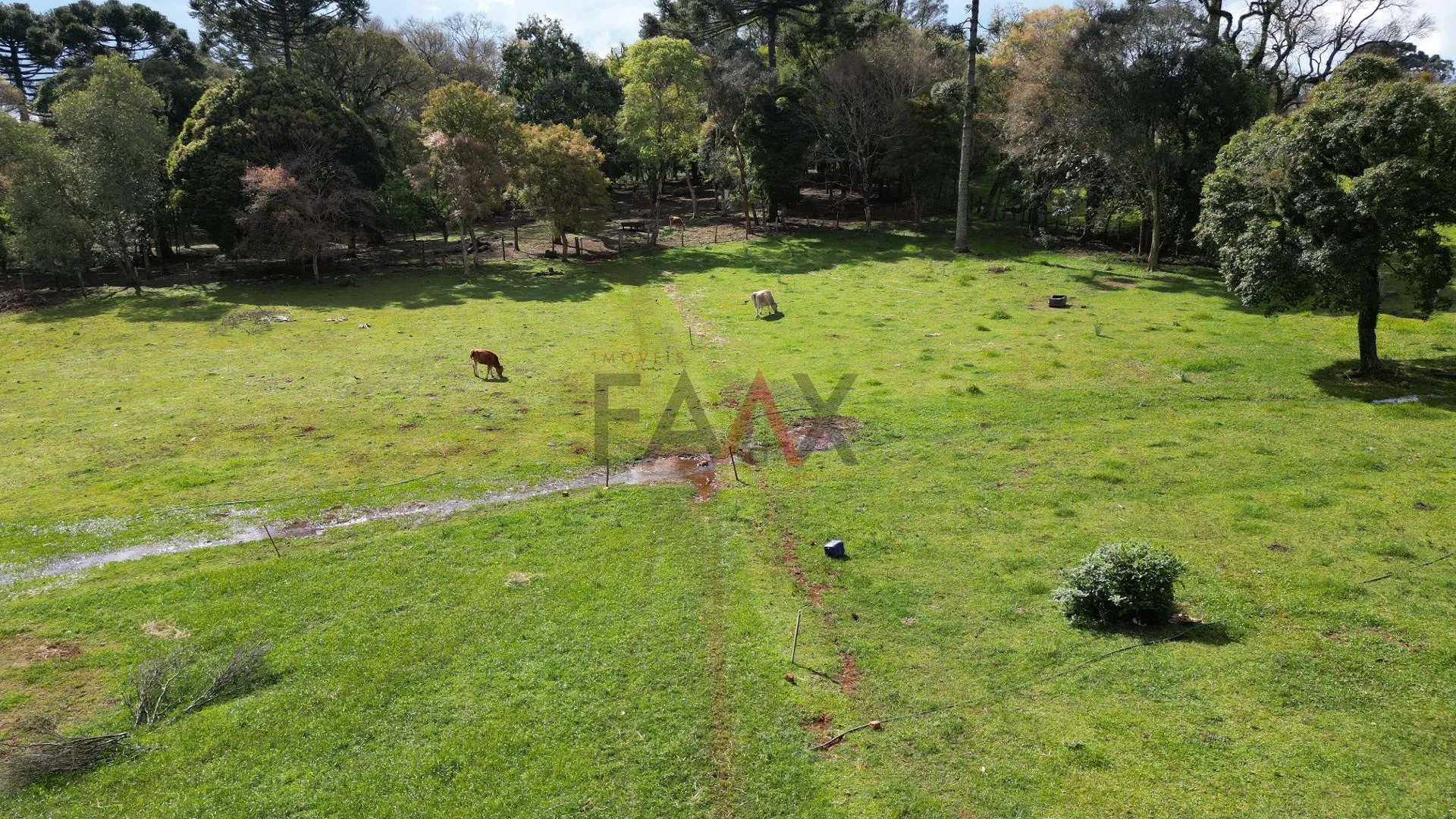 Imagem Chacara a venda proximo ao colegio Agricola, GUARAPUAVA - PR