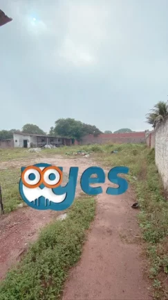 Imagem Galpão comercial no Cis - Tomba para Locação