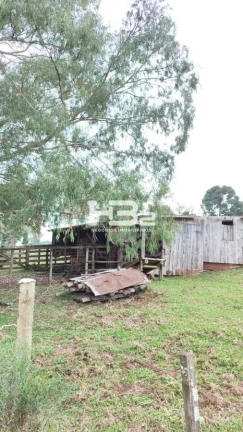 Imagem ÁREA A VENDA BOM JESUS DIVISA MONTE ALEGRE DOS CAMPOS RS