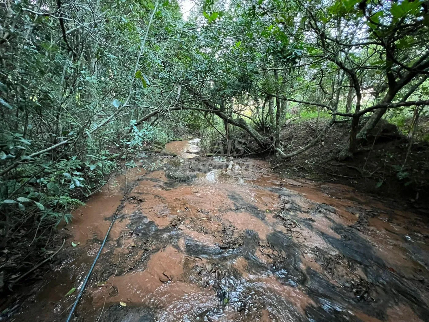 Imagem Chácara de 10 hectares para venda em Lomba Grande, Novo Hamburgo