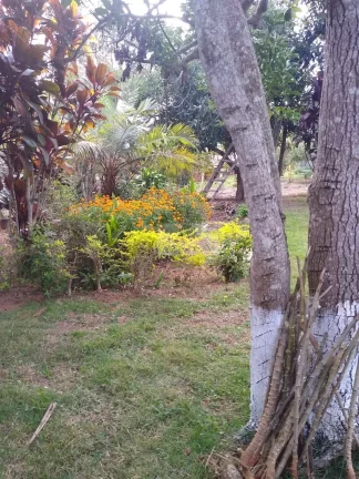 Imagem CHÁCARA JARDIM CANANEIA
