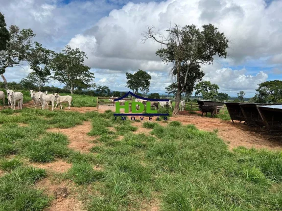 Imagem Fazenda 214 Aqls Dupla aptidão em Torixoréu/MT