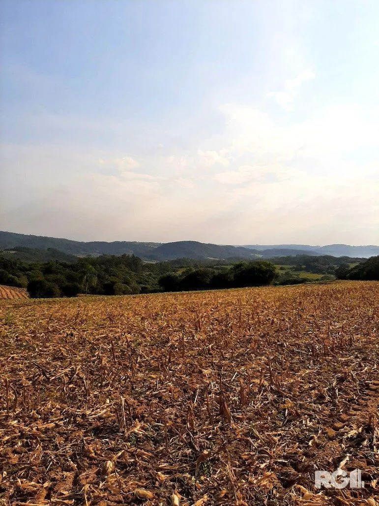 Imagem Area de terras cultivaveis