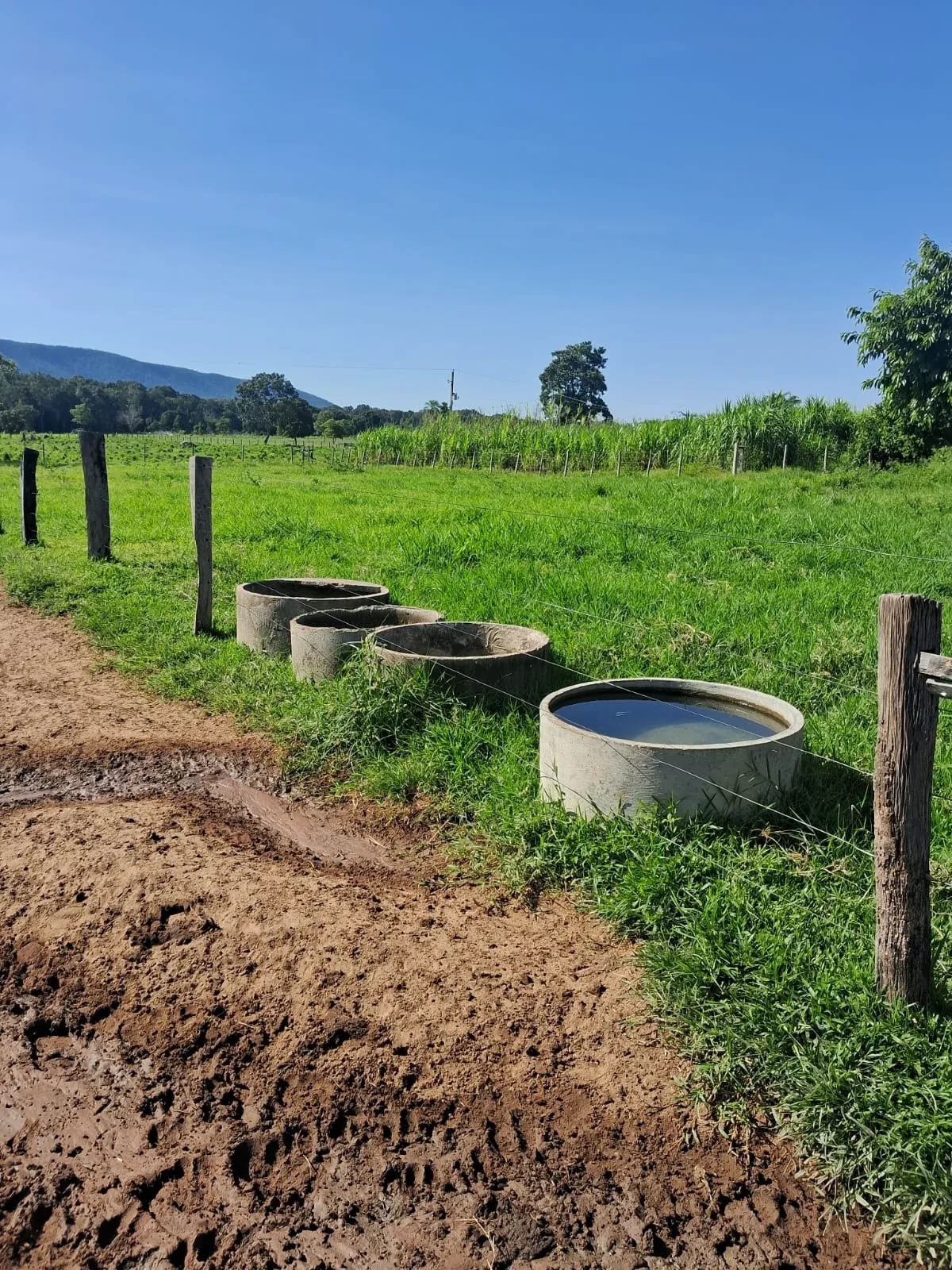 Imagem Chácara à Venda, 25000 m² em Poção - Cuiabá