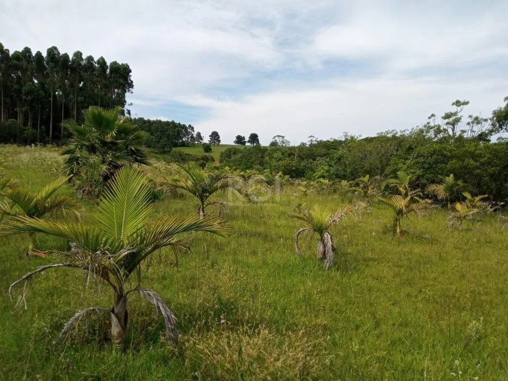 Imagem Boletto Imóveis vende Sitio na RS, Com 7 casas, 2 comerciais, excelente local para vários seguimento fácil acesso , rota para gramado, R$3.900,000,00