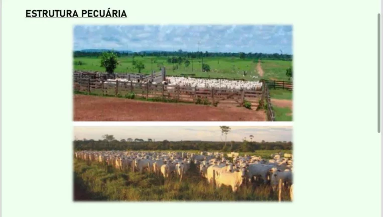 Imagem Área - Propriedade à Venda - MT