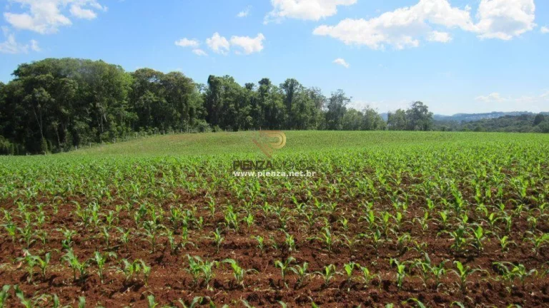Foto do imóvel Área para Loteamento para Venda em Concórdia, São Cristóvão em Concordia Sc