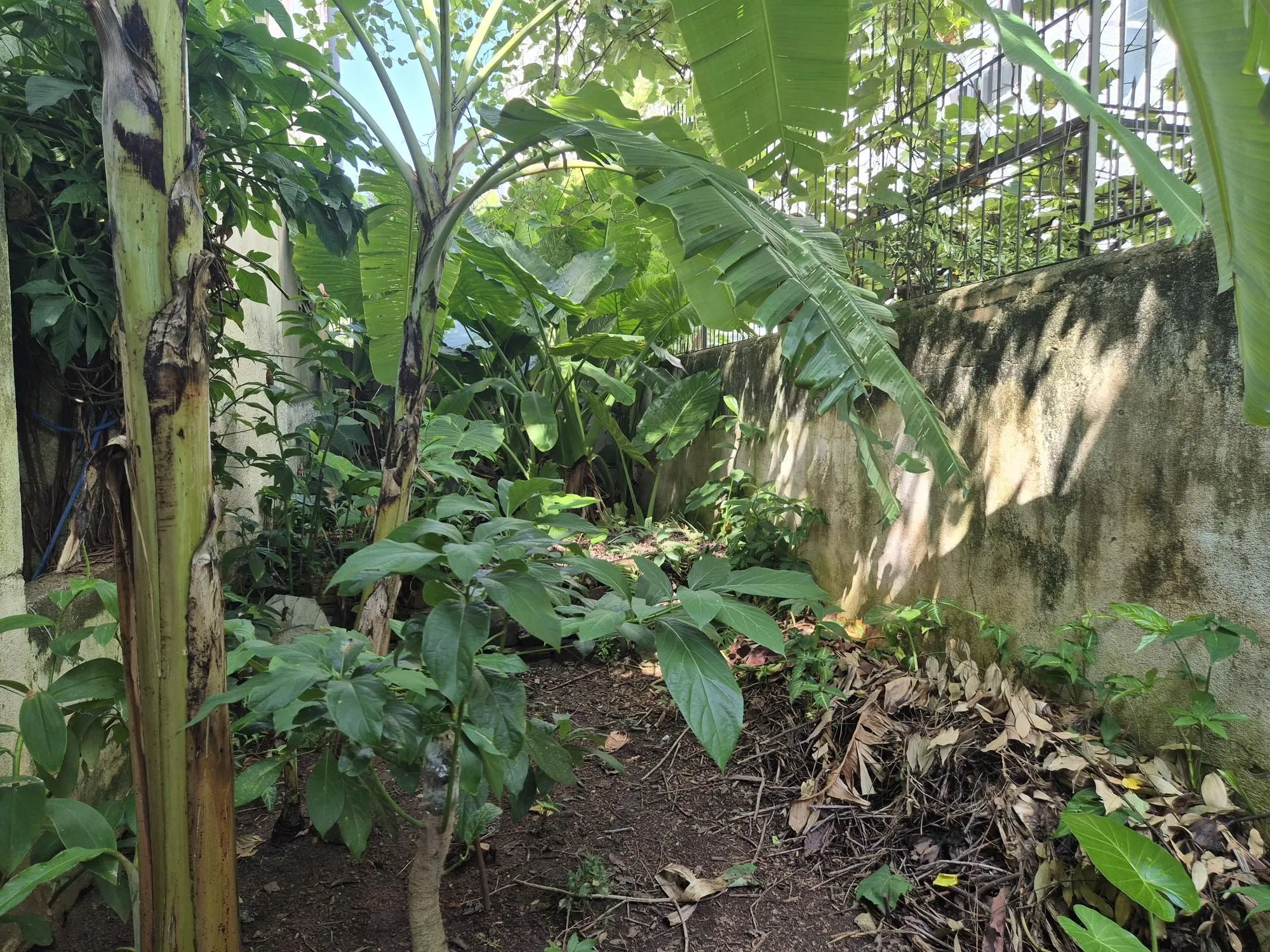 Imagem Terreno para investidores