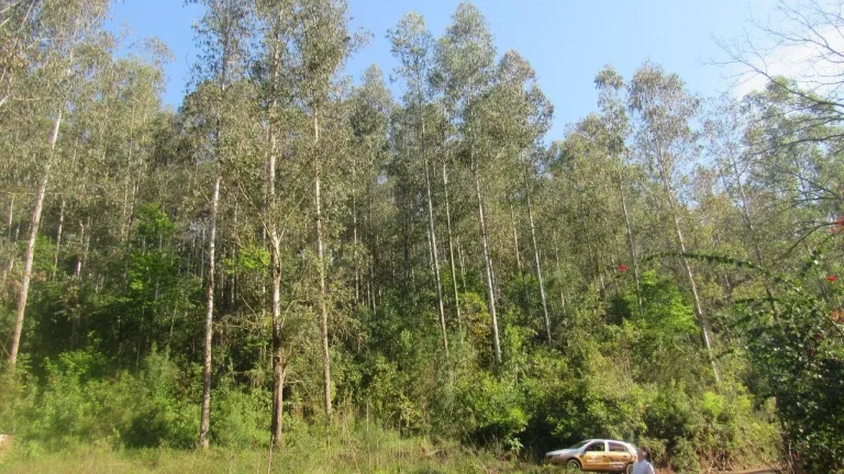 Imagem Terreno para Venda em Arabuta, Interior