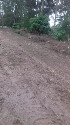 Imagem Terreno excelente a venda para Chácara com 8 mil m² no asfalto - em Quadra