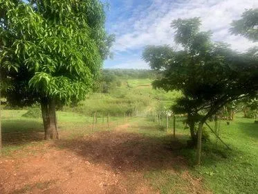 Imagem Excelente Fazenda em Funilândia/MG 112 hectares de terra