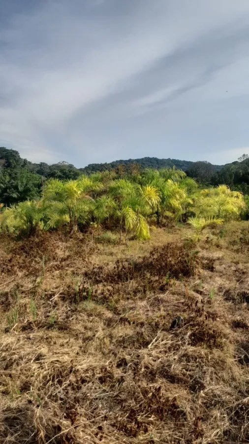 Imagem Sítio para Venda em Sete Barras, Rural