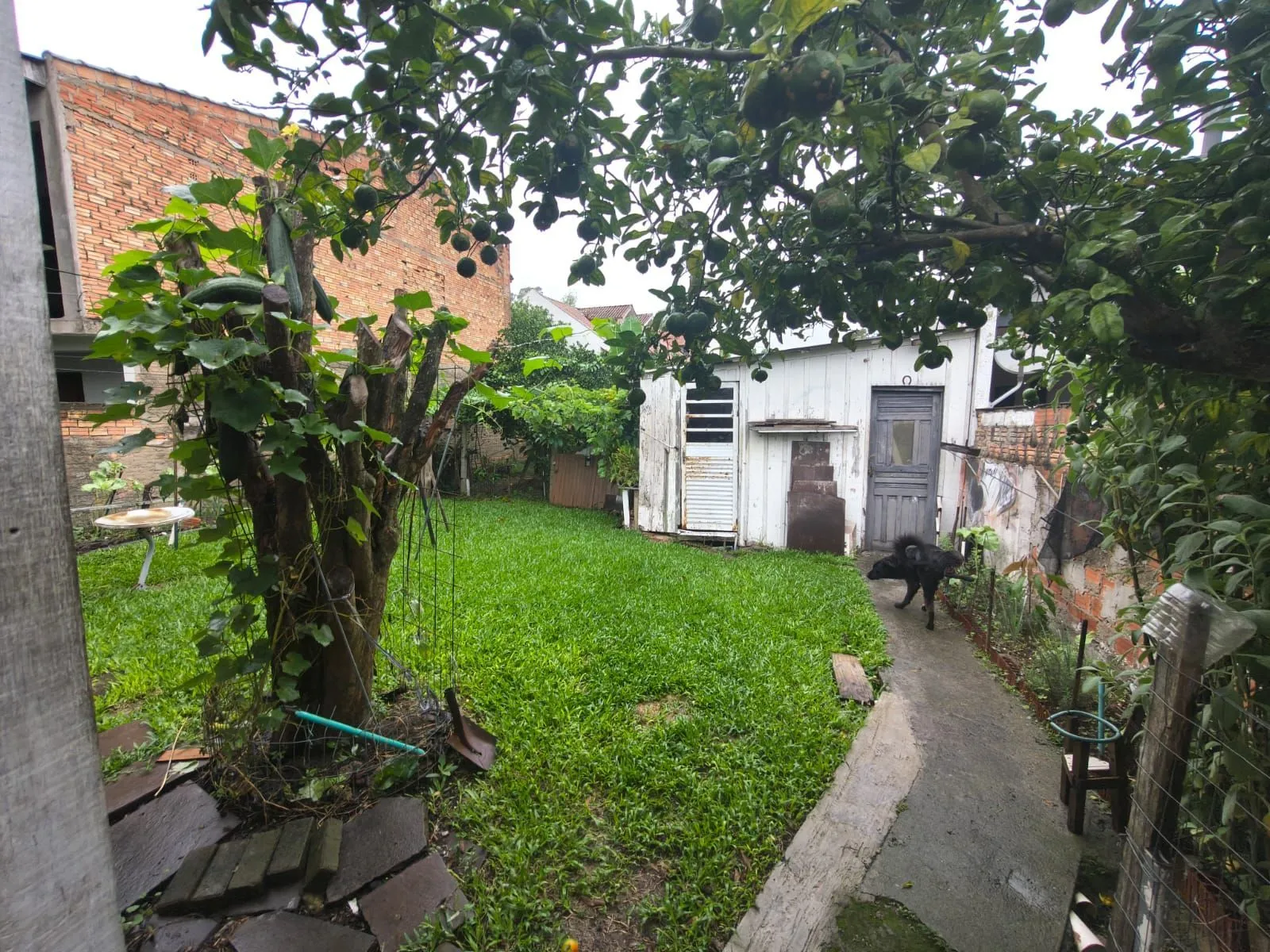 Imagem Oportunidade Imperdível - Terreno com 3 casas no Bairro Serraria Porto Alegre/RS