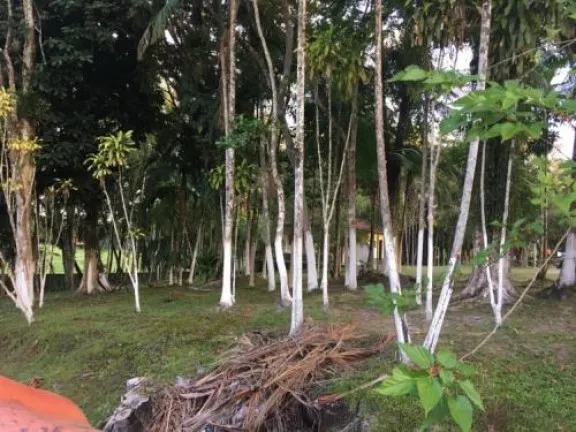 Imagem Chácara com 2 Quartos à Venda, 4.000 m² em Jd. Coronel - Itanhaém