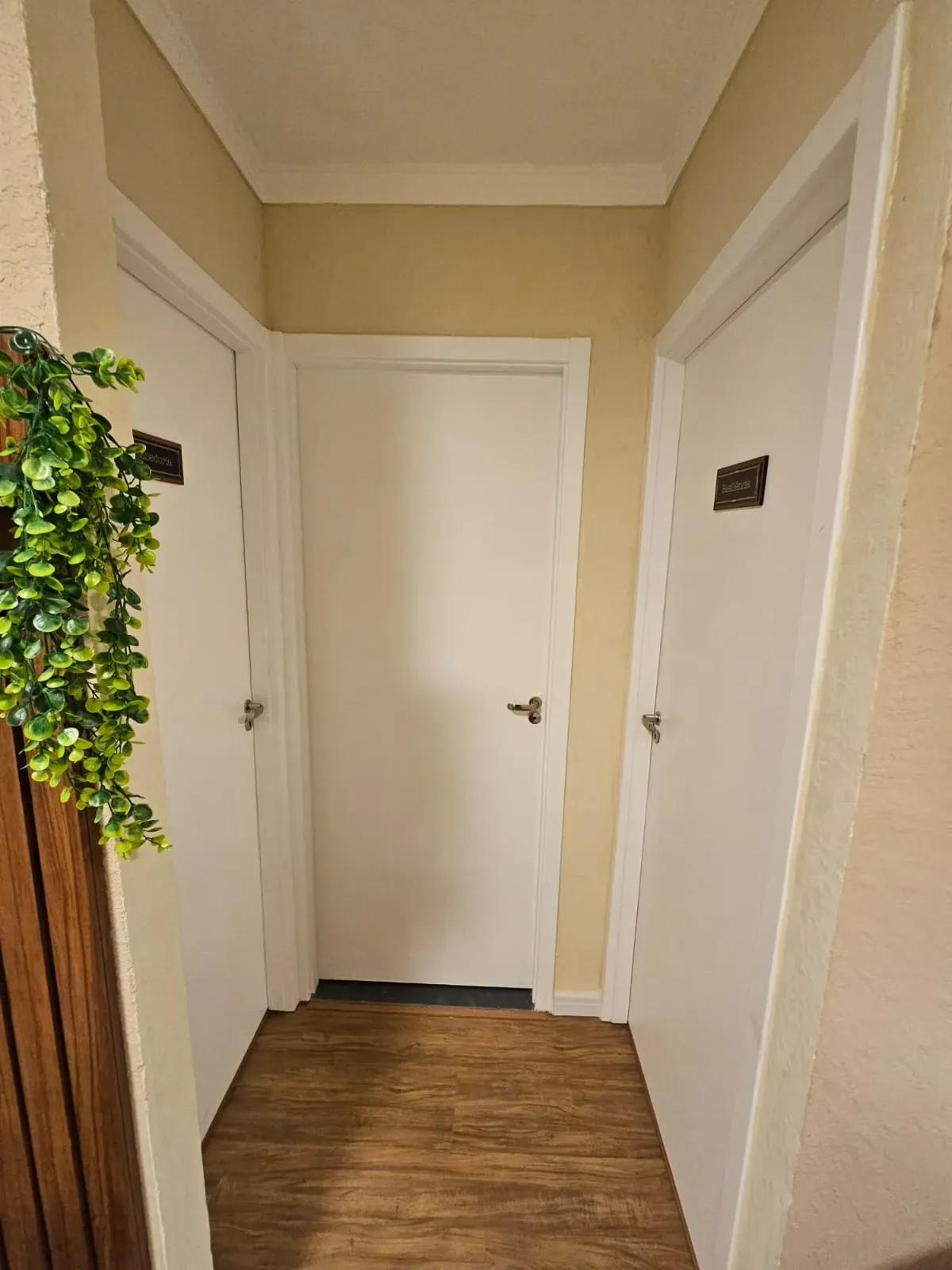 Imagem Apartamento com 2 Quartos à Venda, 40 m² em Colônia (Zona Leste) - São Paulo