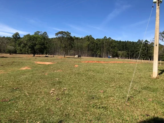 Imagem Sítio a VENDA, Paulistânia/SP
