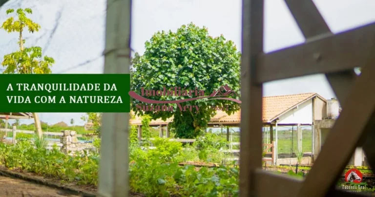 Imagem TERRENO NO CONDOMÍNIO FAZENDA REAL