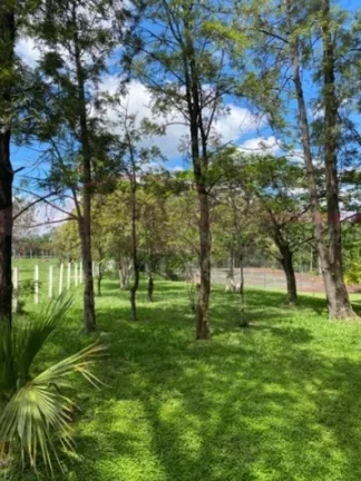 Imagem Sítio a venda em Porto Feliz, interior de São Paulo, próximo a Marechal Rondon,. Terreno: 90.000m...
