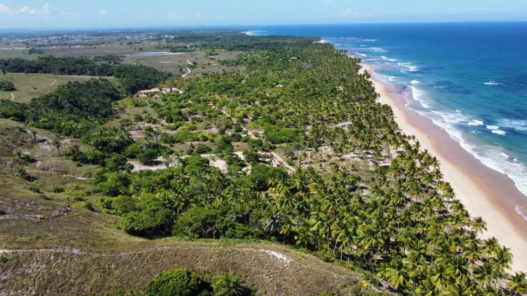 Imagem ÁREA EXUBERANTE FRENTE MAR