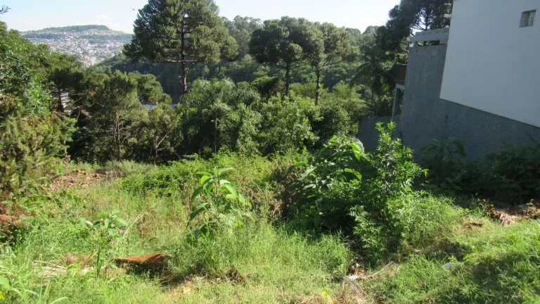 Imagem Terreno para Venda em Concórdia, Jardim
