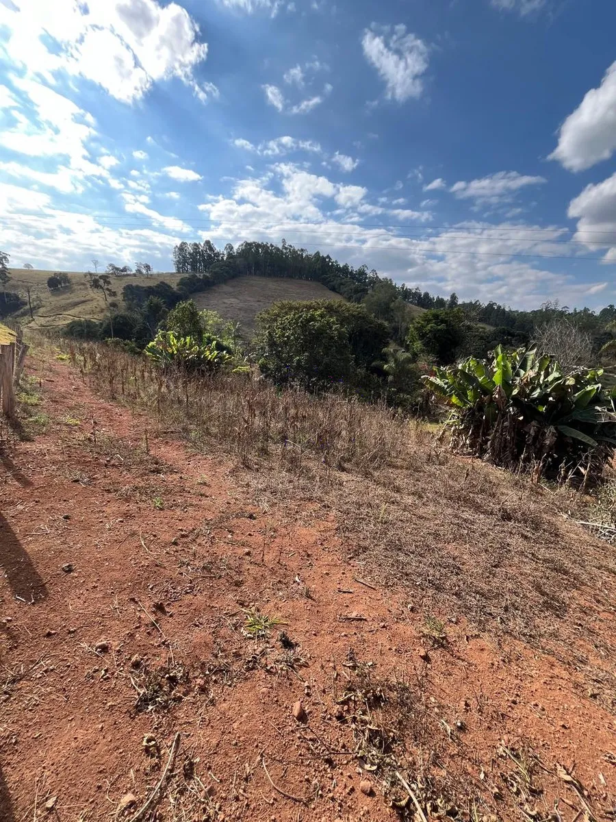 Imagem Chácara 24.800 m² à venda em Capituvas, Campestre