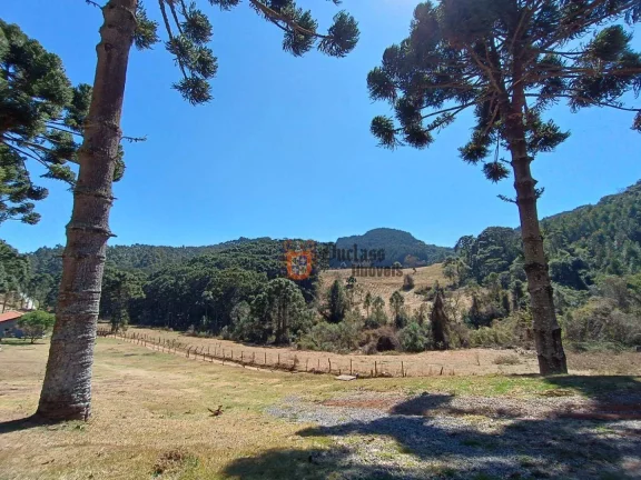 Imagem Sítio com 5 dormitórios à venda, 126000 m² por R$ 2.750.000,00 - Bom Jardim - Camanducaia/MG