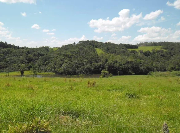 Imagem FAZENDA FORMADA no interior de São Paulo