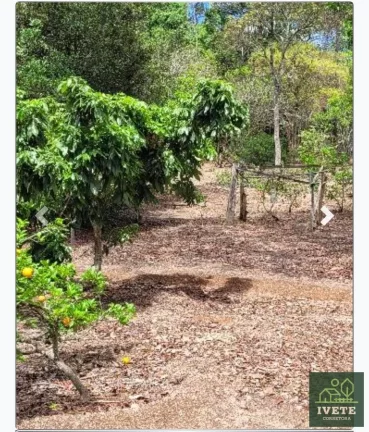 Imagem Chácara em Serra Negra - SP com 11.000m2