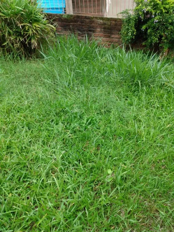 Imagem Terreno para Venda em São Leopoldo / RS no bairro Arroio da Manteiga