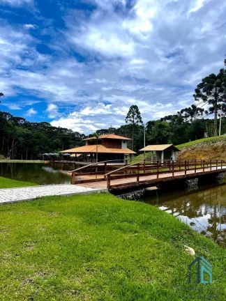 Imagem Chácara linda, açude grande, poço artesiano, 150 metros do asfalto, em Campina grande do sul, PR