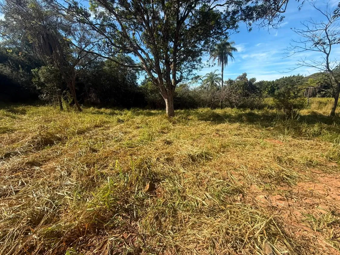 Imagem FAZENDA À VENDA EM CARMÓPOLIS DE MINAS /Área total: 315 hectares