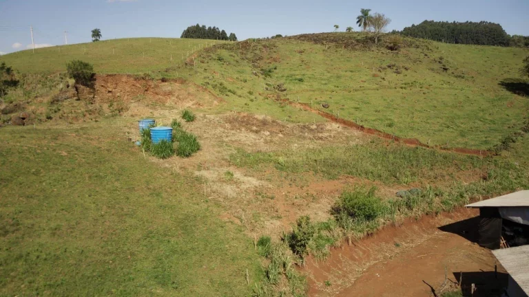 Imagem Área Agrícola para Venda em Concórdia, Rural