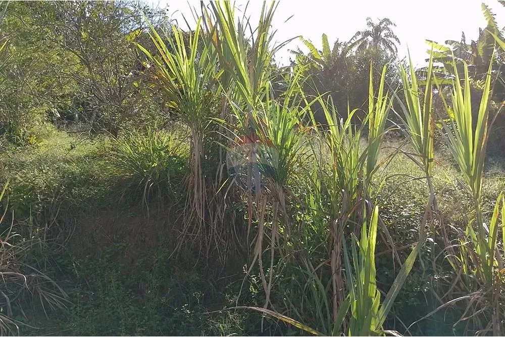 Imagem Terreno à Venda em Guaratiba