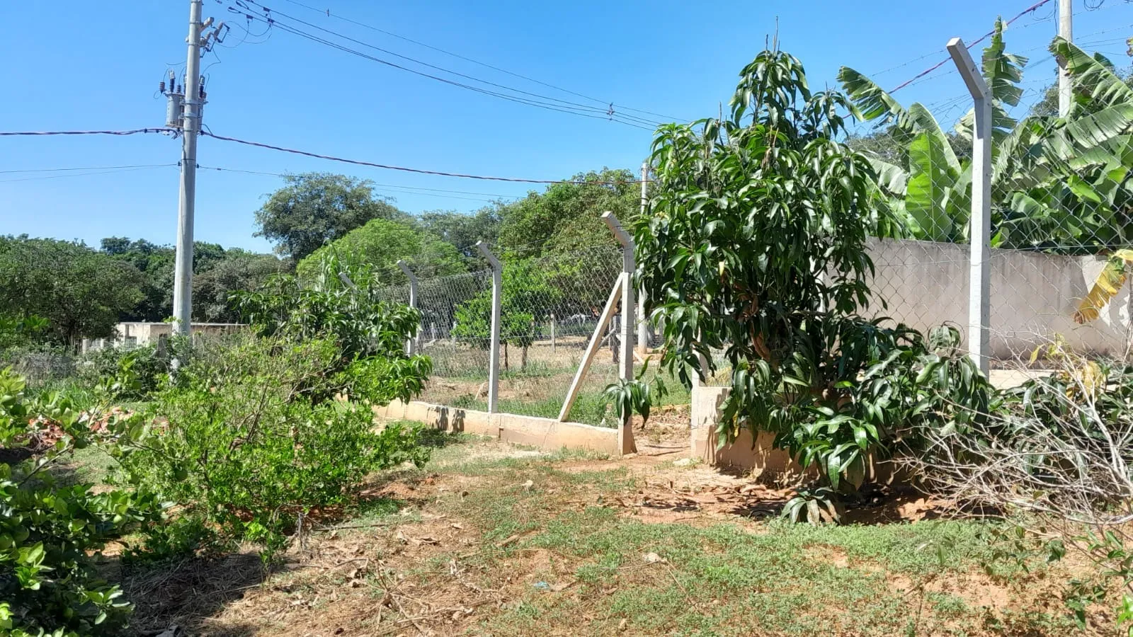 Imagem Lindo terreno de 950m² no Iporanga.
