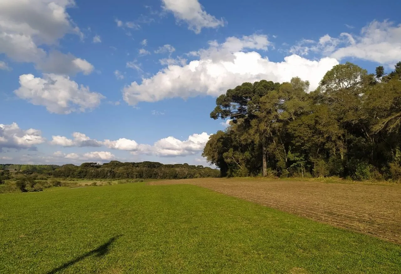 Imagem Terreno para Venda em São José dos Pinhais, Campo Largo da Roseira
