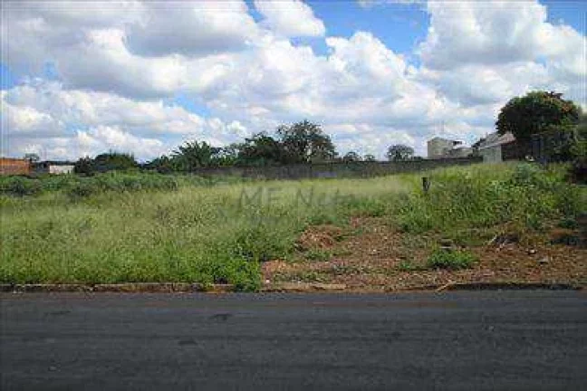 Imagem Terreno Padrão