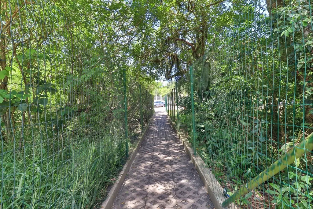 Imagem Apartamento em Rubem Berta