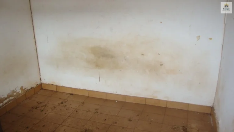 Imagem Casa a venda em Campo Grande (MS), bairro Jardim TV Morena