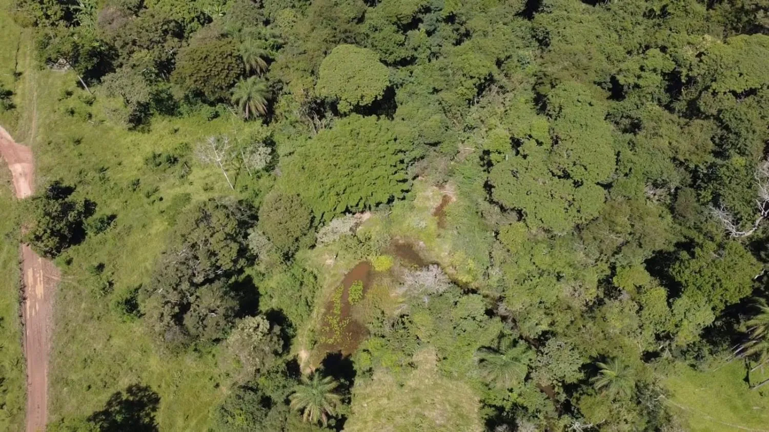 Imagem TERRENO À VENDA EM ITAGUARA / mg 30 HECTARES DE TERRA
