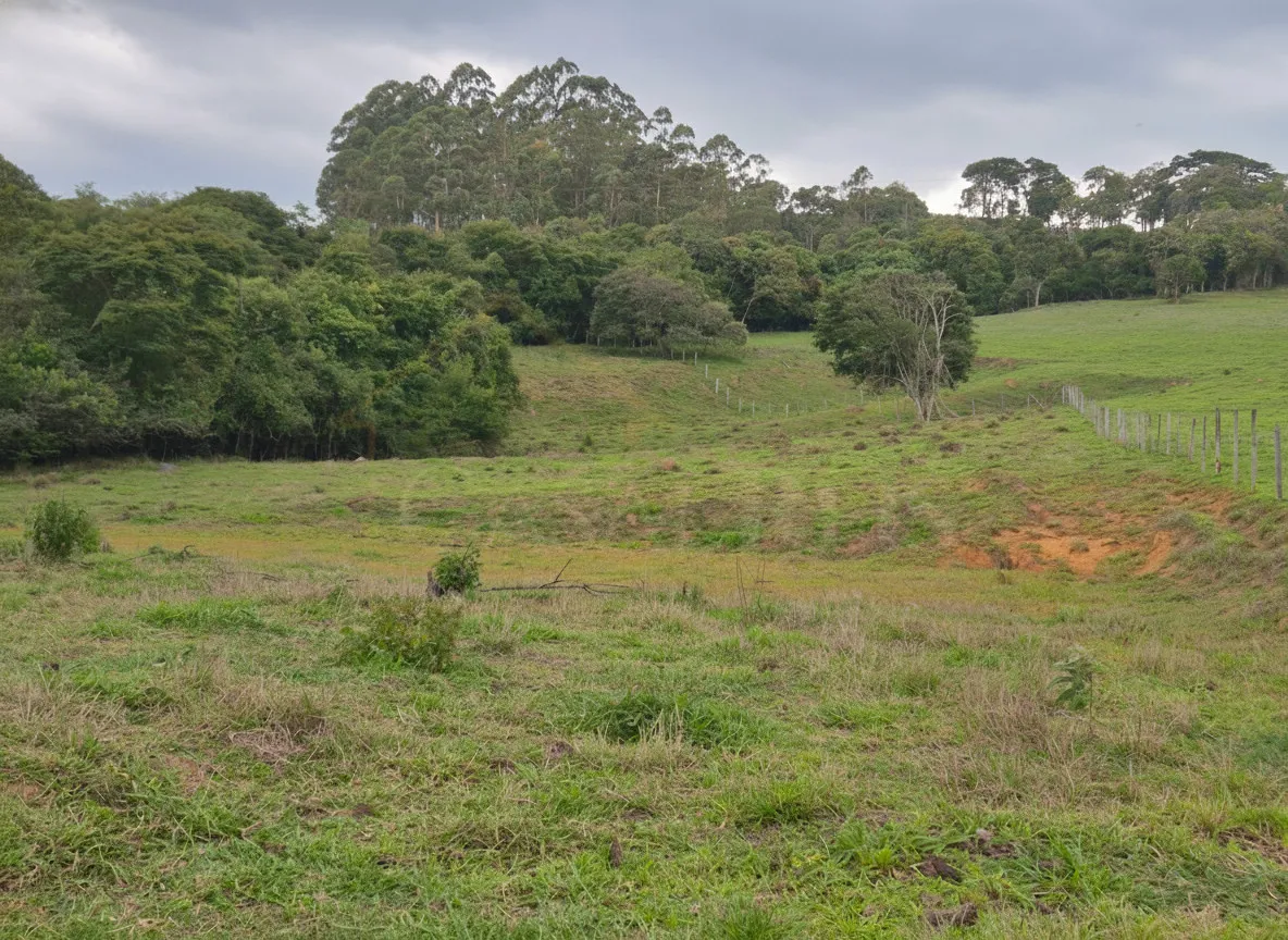 Imagem Chácara 24 m² à venda em Capituvas, Bandeira do Sul