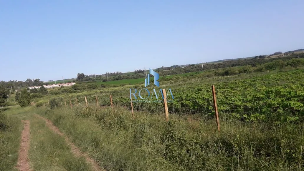 Imagem Terreno à venda Diácono João Luiz Pozzobon Santa Maria/RS