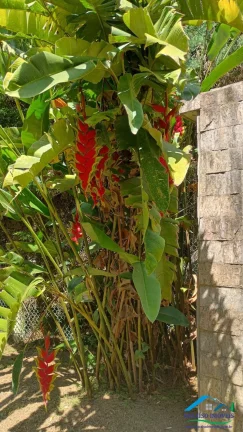 Imagem Elegante Casa em Condomínio em Santo Antônio Pinhal!
