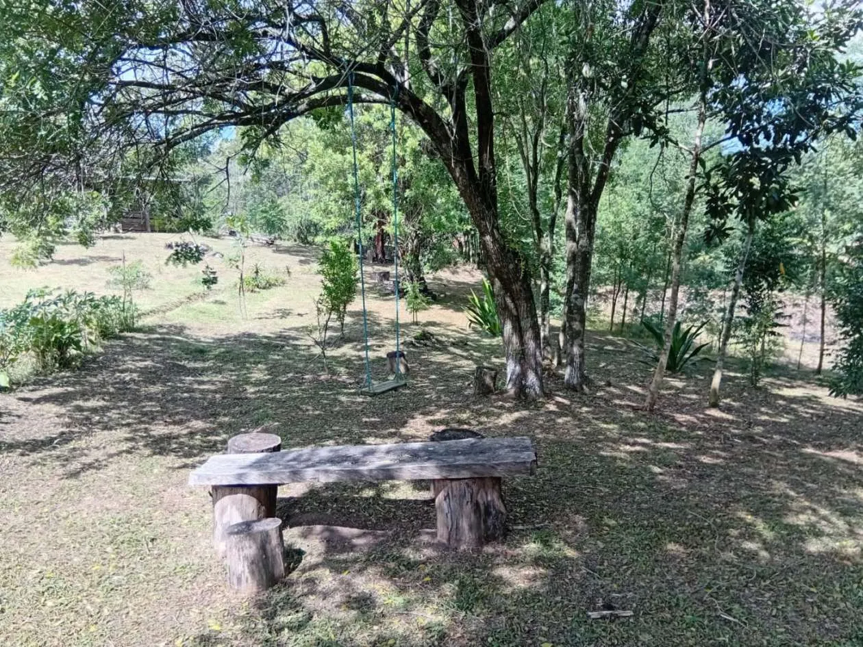 Imagem Sítio para Venda em Pelotas, Monte Bonito, 3 dormitórios, 1 banheiro, 1 vaga
