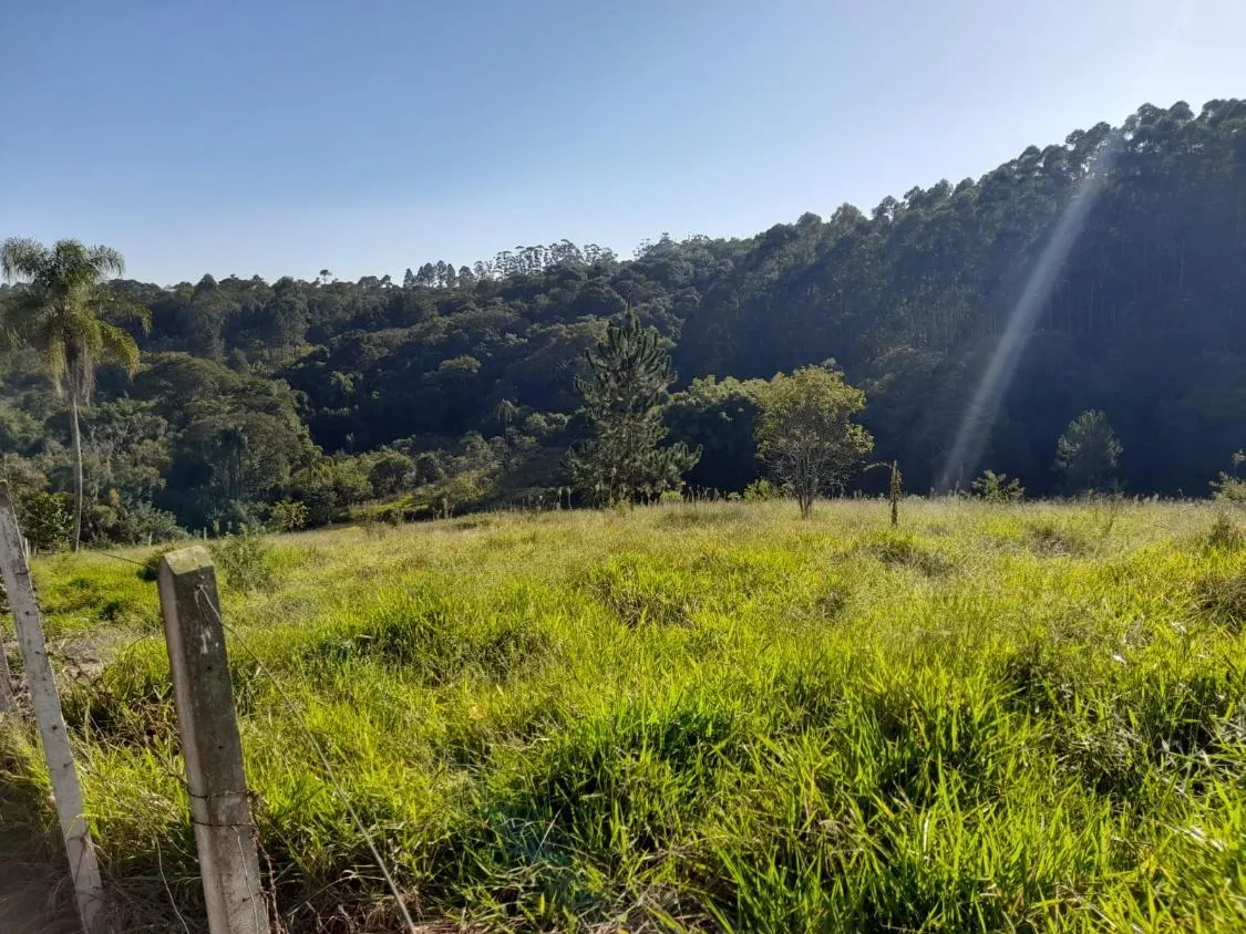 Imagem TERRENO - BAIRRO DA RESSACA - IBIUNA