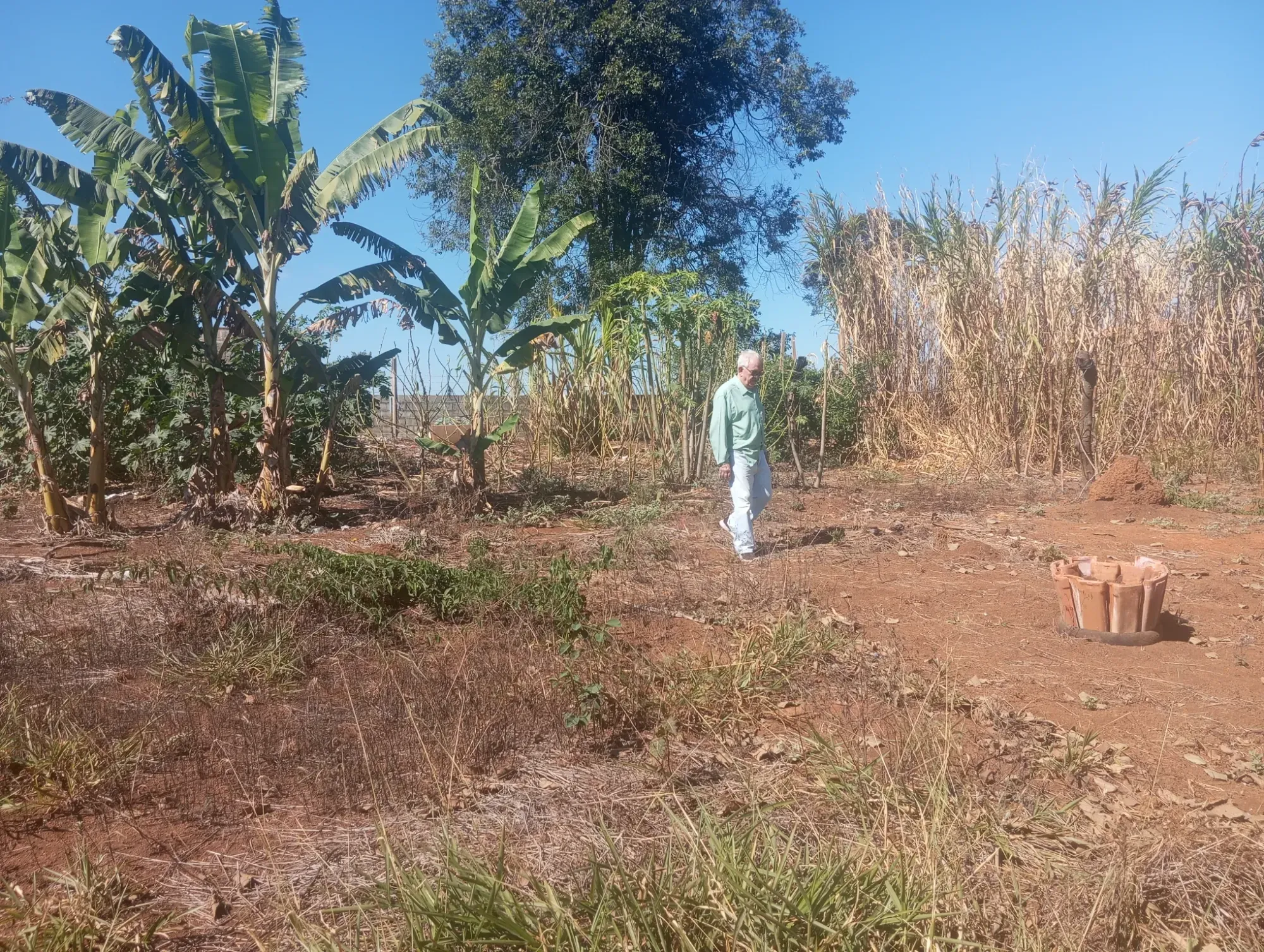 Imagem Chácara com 2 Quartos à Venda, 2.000 m² em Matozinhos - Matozinhos