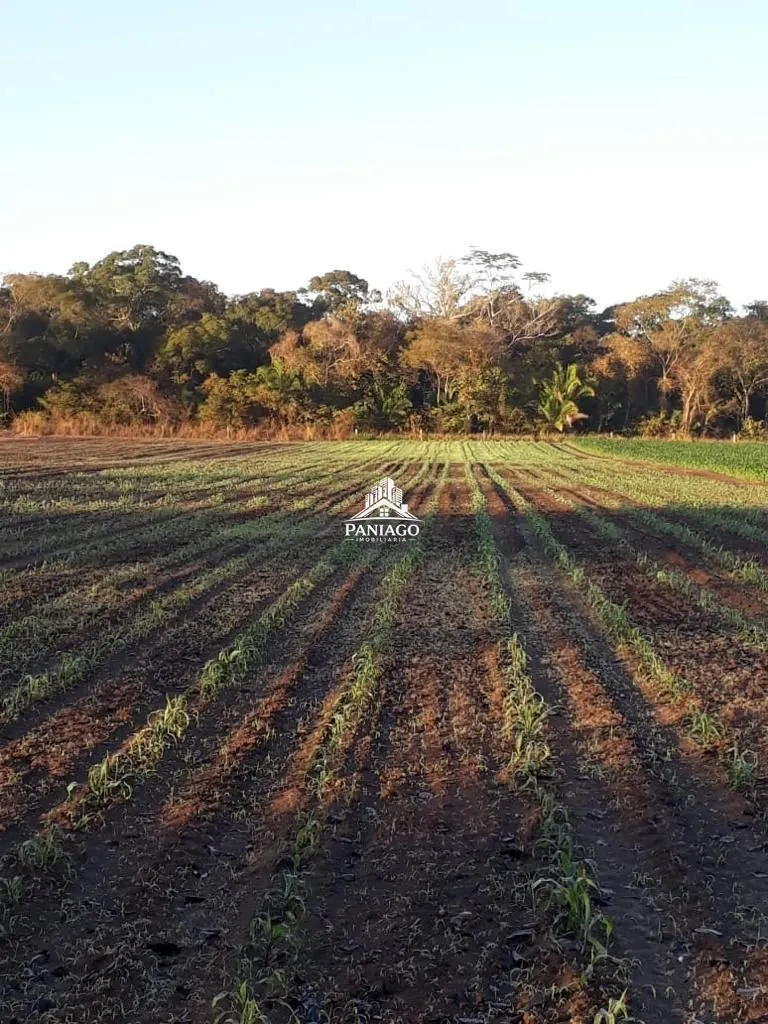 Imagem Sítio de 10,63 Hectares à Venda em Leverger/MT | Estrutura para Pecuária