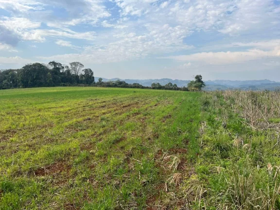 Imagem Terreno para Venda em Concórdia, Rural